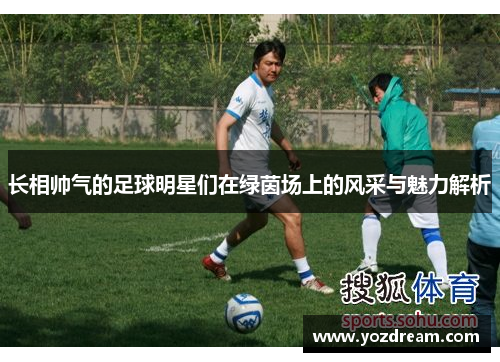长相帅气的足球明星们在绿茵场上的风采与魅力解析