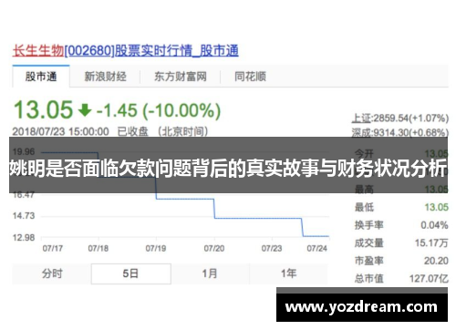 姚明是否面临欠款问题背后的真实故事与财务状况分析